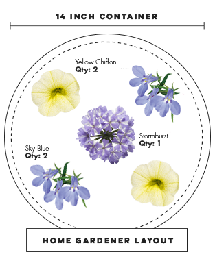 sunglasses planting layout