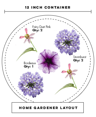 sunglasses planting layout