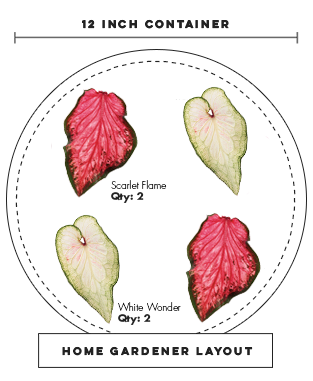 heartfelt wonder recipe diagram